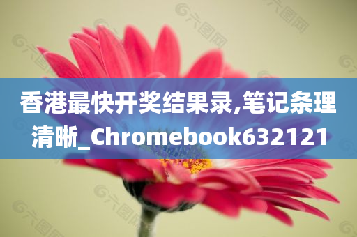 香港最快开奖结果录,笔记条理清晰_Chromebook632121