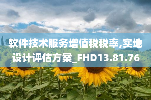 软件技术服务增值税税率,实地设计评估方案_FHD13.81.76