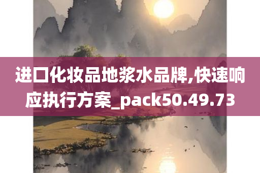 进囗化妆品地浆水品牌,快速响应执行方案_pack50.49.73