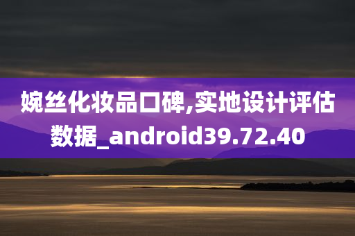 婉丝化妆品口碑,实地设计评估数据_android39.72.40