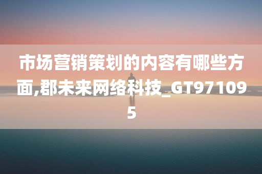 市场营销策划的内容有哪些方面,郡未来网络科技_GT971095