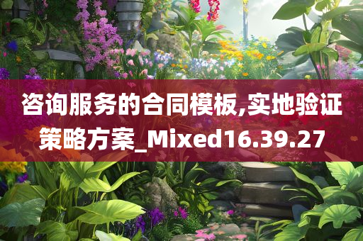 咨询服务的合同模板,实地验证策略方案_Mixed16.39.27