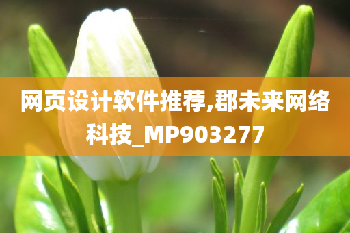 网页设计软件推荐,郡未来网络科技_MP903277