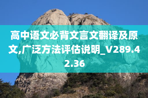 高中语文必背文言文翻译及原文,广泛方法评估说明_V289.42.36