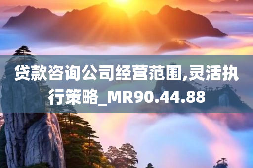 贷款咨询公司经营范围,灵活执行策略_MR90.44.88