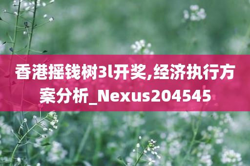 香港摇钱树3l开奖,经济执行方案分析_Nexus204545