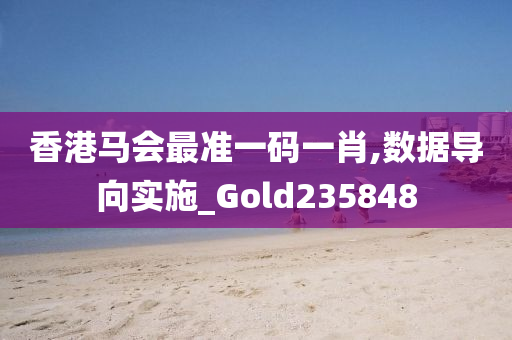 香港马会最准一码一肖,数据导向实施_Gold235848