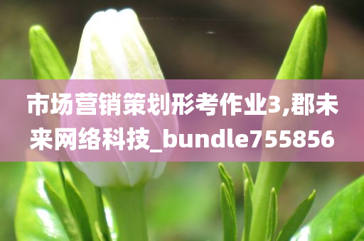 市场营销策划形考作业3,郡未来网络科技_bundle755856