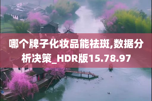 哪个牌子化妆品能祛斑,数据分析决策_HDR版15.78.97