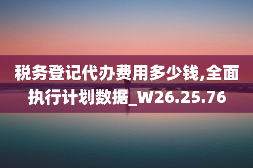 税务登记代办费用多少钱,全面执行计划数据_W26.25.76