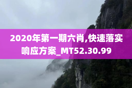 2020年第一期六肖,快速落实响应方案_MT52.30.99