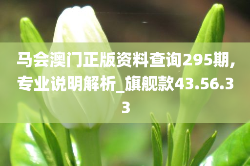 马会澳门正版资料查询295期,专业说明解析_旗舰款43.56.33