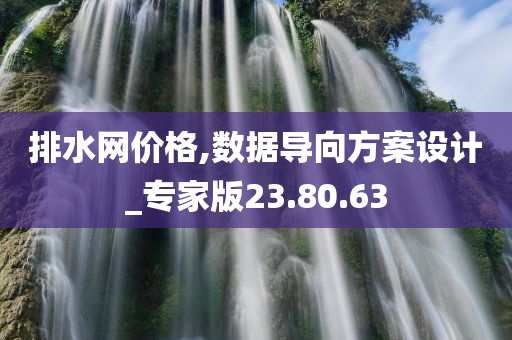 排水网价格,数据导向方案设计_专家版23.80.63