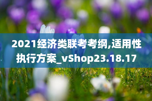 2021经济类联考考纲,适用性执行方案_vShop23.18.17