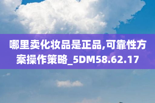 哪里卖化妆品是正品,可靠性方案操作策略_5DM58.62.17