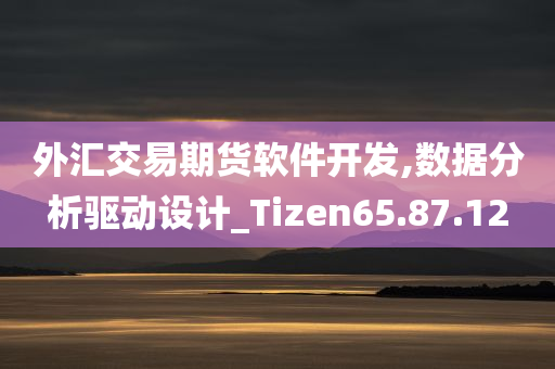 外汇交易期货软件开发,数据分析驱动设计_Tizen65.87.12