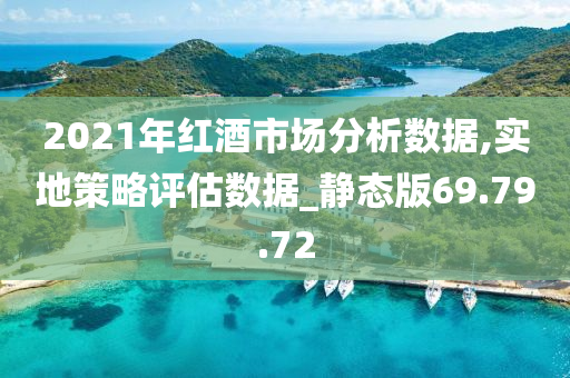 2021年红酒市场分析数据,实地策略评估数据_静态版69.79.72