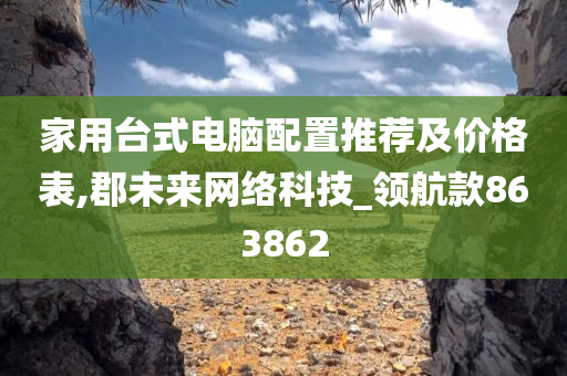 家用台式电脑配置推荐及价格表,郡未来网络科技_领航款863862