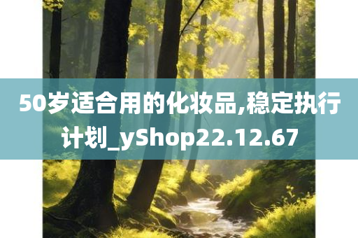 50岁适合用的化妆品,稳定执行计划_yShop22.12.67