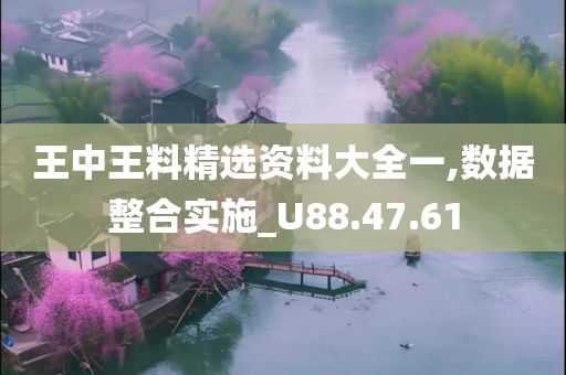 王中王料精选资料大全一,数据整合实施_U88.47.61