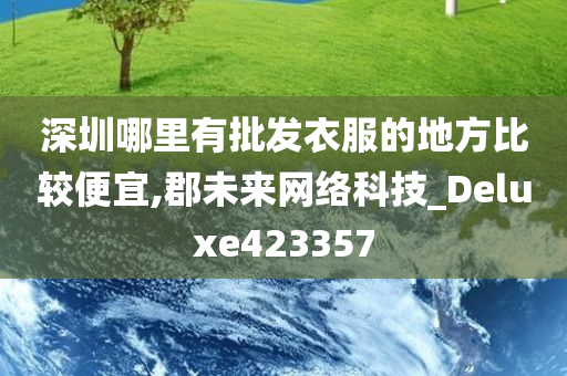 深圳哪里有批发衣服的地方比较便宜,郡未来网络科技_Deluxe423357