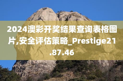 2024澳彩开奖结果查询表格图片,安全评估策略_Prestige21.87.46