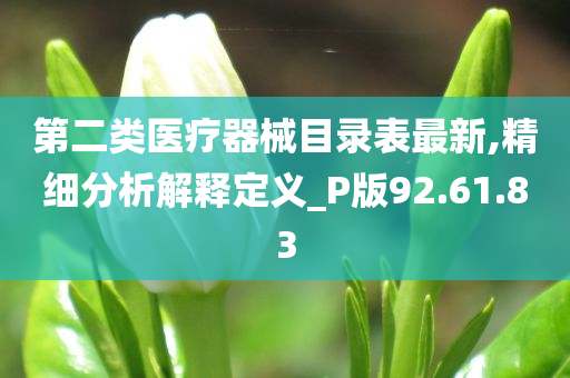 第二类医疗器械目录表最新,精细分析解释定义_P版92.61.83