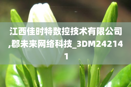 江西佳时特数控技术有限公司,郡未来网络科技_3DM242141