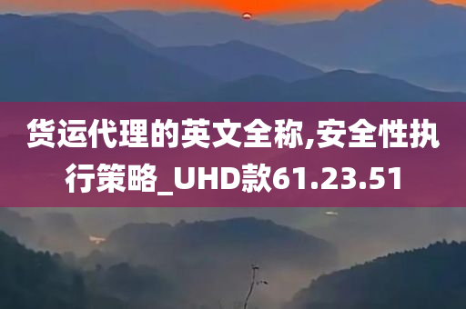 货运代理的英文全称,安全性执行策略_UHD款61.23.51