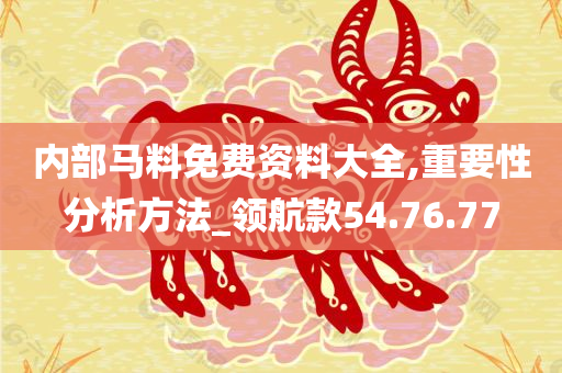 内部马料免费资料大全,重要性分析方法_领航款54.76.77