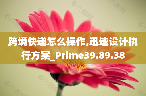 跨境快递怎么操作,迅速设计执行方案_Prime39.89.38