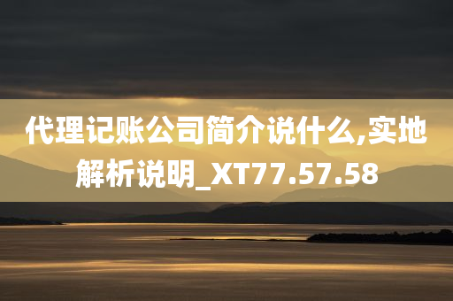 代理记账公司简介说什么,实地解析说明_XT77.57.58