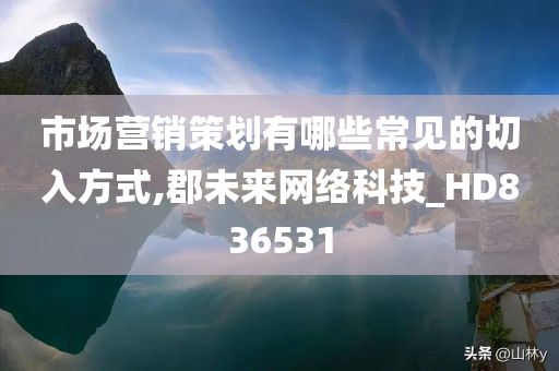 市场营销策划有哪些常见的切入方式,郡未来网络科技_HD836531