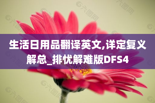 生活日用品翻译英文,详定复义解总_排忧解难版DFS4