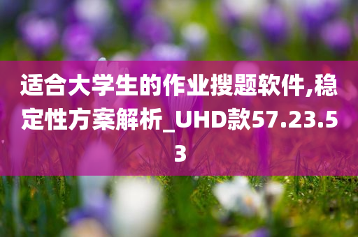 适合大学生的作业搜题软件,稳定性方案解析_UHD款57.23.53