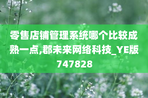 零售店铺管理系统哪个比较成熟一点,郡未来网络科技_YE版747828