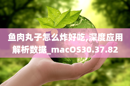 鱼肉丸子怎么炸好吃,深度应用解析数据_macOS30.37.82