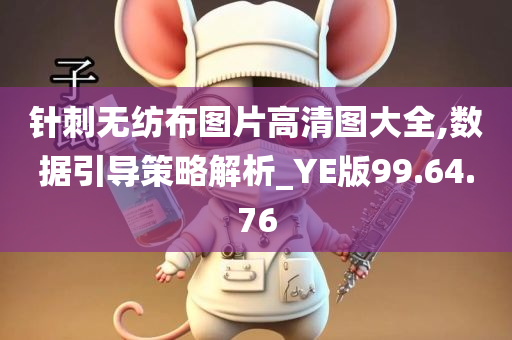 针刺无纺布图片高清图大全,数据引导策略解析_YE版99.64.76