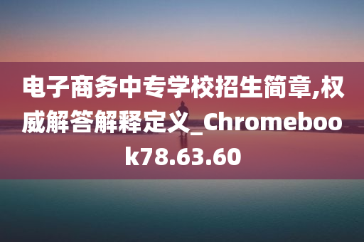 电子商务中专学校招生简章,权威解答解释定义_Chromebook78.63.60