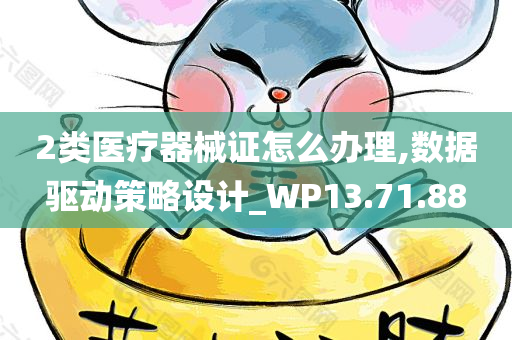 2类医疗器械证怎么办理,数据驱动策略设计_WP13.71.88