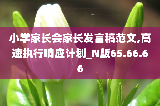 小学家长会家长发言稿范文,高速执行响应计划_N版65.66.66