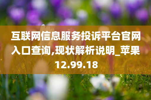 互联网信息服务投诉平台官网入口查询,现状解析说明_苹果12.99.18