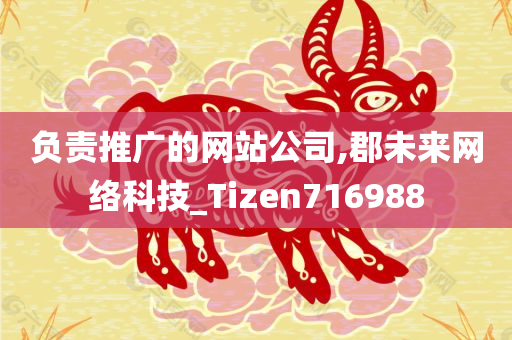 负责推广的网站公司,郡未来网络科技_Tizen716988