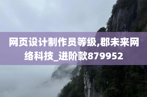 网页设计制作员等级,郡未来网络科技_进阶款879952