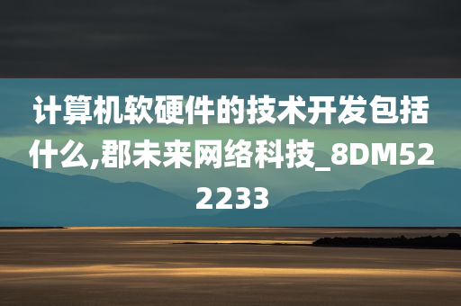 计算机软硬件的技术开发包括什么,郡未来网络科技_8DM522233