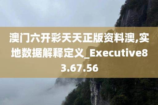 澳门六开彩天天正版资料澳,实地数据解释定义_Executive83.67.56