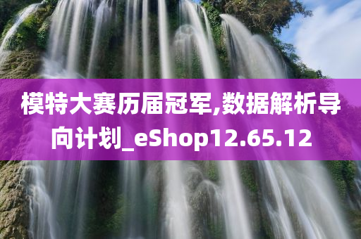 模特大赛历届冠军,数据解析导向计划_eShop12.65.12