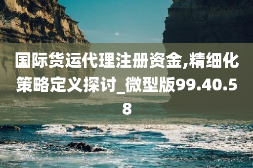 国际货运代理注册资金,精细化策略定义探讨_微型版99.40.58