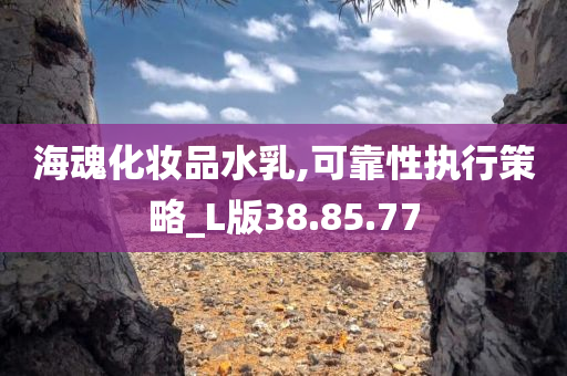 海魂化妆品水乳,可靠性执行策略_L版38.85.77