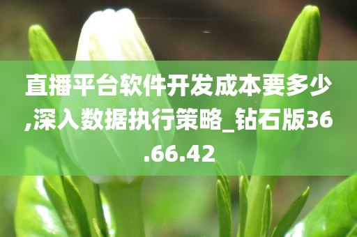 直播平台软件开发成本要多少,深入数据执行策略_钻石版36.66.42